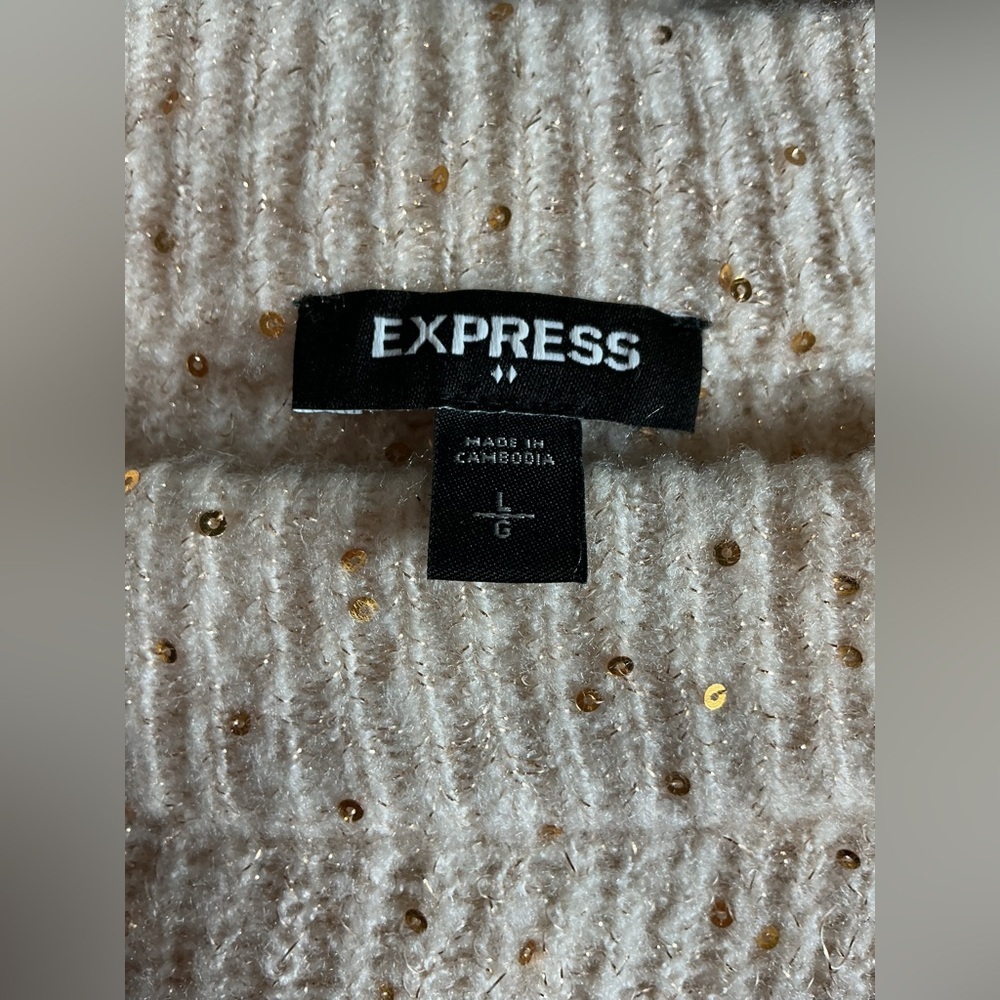 Express Sequin Speckled Knit Sweater - Cream/Oatmeal - Size L - Picture 6 of 8